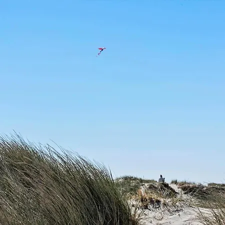 Vakantiehuis 519-hvide-sande-skodbjergevej-14 *